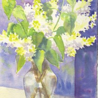 White-Lilacs